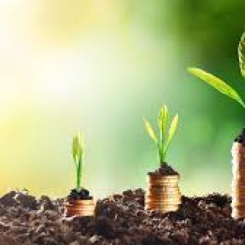 Finance: 7 Soft Skills You Should Learn To Grow Your Business